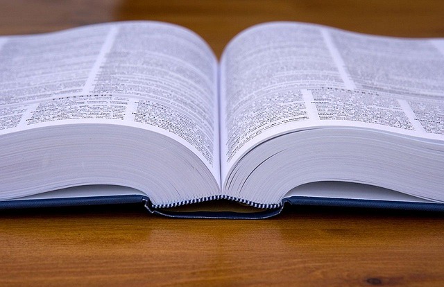book, hardcover, text, pages, education, literature, textbook, library, document, information, knowledge, reading, studying, wisdom, learn, content, dictionary, publication, diary, handbook, bookmark, university, bestseller, encyclopedia, dictionary, dictionary, dictionary, dictionary, dictionary, handbook